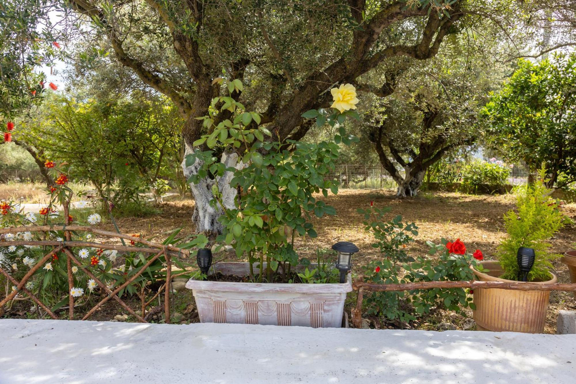 Sea & Olives House Villa Lixouri Exterior photo