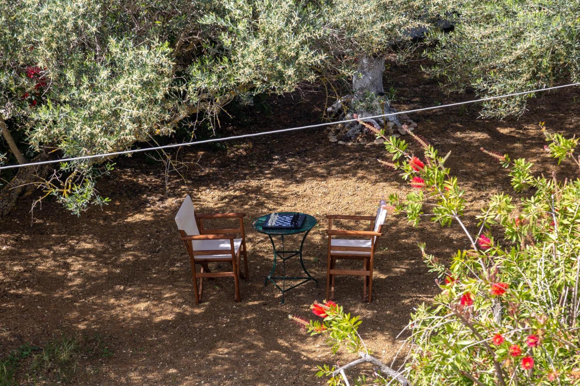 Sea & Olives House Villa Lixouri Exterior photo
